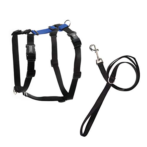 Blue-9 Pet Products Balance-Geschirr und lose Leine, hergestellt in den USA, Blau, Größe M/L Blue-9 Pet Products Balance-Geschirr und lose Leine, hergestellt in den USA, Blau, Größe M/L von Blue-9