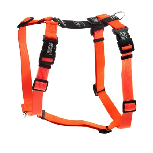 Blue-9 Pet Products Balance Hundegeschirr, Schnalle, Large, Orange Blue-9 Pet Products Balance Hundegeschirr, Schnalle, Large, Orange von Blue-9