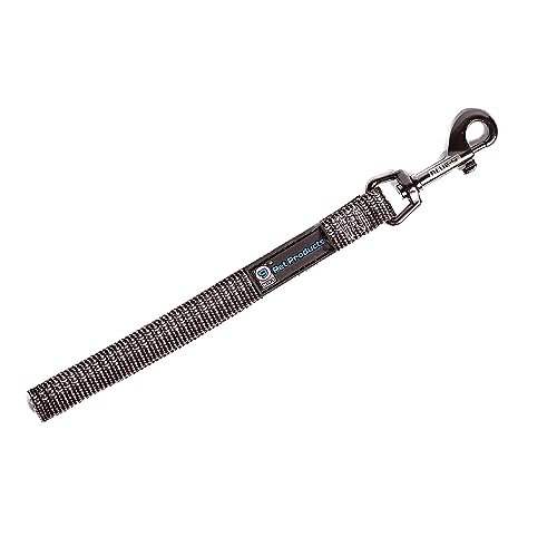 Blue-9 Reflektierende Hundetrainingsleine, 22,9 cm lange Hundeleine mit 3M-reflektierenden Nähten für Gehorsam, Rückruf und Beweglichkeitstraining, hergestellt in den USA, Grau Blue-9 Reflektierende Hundetrainingsleine, 22,9 cm lange Hundeleine mit 3M-reflektierenden Nähten für Gehorsam, Rückruf und Beweglichkeitstraining, hergestellt in den USA, Grau von Blue-9
