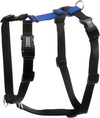 Worldwise B9-BHB-BLU-M Balance Hundegeschirr Leinenring Nacken, M, blau Worldwise B9-BHB-BLU-M Balance Hundegeschirr Leinenring Nacken, M, blau von Blue-9