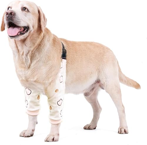 Blue Dream Island Ellenbogenschutz für Hunde, verdickte Hundebein-Genesungshülse zur Verhinderung von Lecken von Wunden, Gelenkschützer mit Netzpolster für mittelgroße und große Hunde, Größe XL, Beige Blue Dream Island Ellenbogenschutz für Hunde, verdickte Hundebein-Genesungshülse zur Verhinderung von Lecken von Wunden, Gelenkschützer mit Netzpolster für mittelgroße und große Hunde, Größe XL, Beige von Blue Dream Island