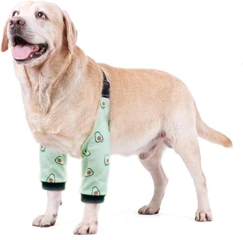 Blue Dream Island Ellenbogenschutz für Hunde, verdickte Hundebein-Genesungshülse zur Verhinderung von Lecken von Wunden, Gelenkschutz mit Netzpolster für mittelgroße und große Hunde, Größe 2XL Blue Dream Island Ellenbogenschutz für Hunde, verdickte Hundebein-Genesungshülse zur Verhinderung von Lecken von Wunden, Gelenkschutz mit Netzpolster für mittelgroße und große Hunde, Größe 2XL von Blue Dream Island
