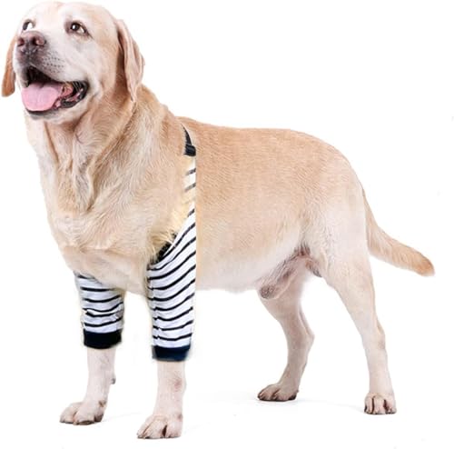 Blue Dream Island Ellenbogenschutz für Hunde, verdickte Hundebein-Genesungshülse zur Verhinderung von Lecken von Wunden, Gelenkschutz mit Netzpolster für mittelgroße und große Hunde, Größe 4XL Blue Dream Island Ellenbogenschutz für Hunde, verdickte Hundebein-Genesungshülse zur Verhinderung von Lecken von Wunden, Gelenkschutz mit Netzpolster für mittelgroße und große Hunde, Größe 4XL von Blue Dream Island