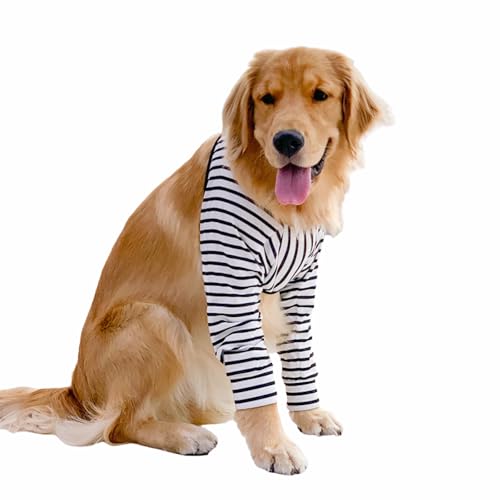 Blue Dream Island Ellenbogenschutz für Schwielen, Hundegelenk-Erholungshülse zur Verhinderung von Lecken von Wunden, Ellenbogenmanschetten mit Netzpolster für mittelgroße und große Hunde, Größe XXL, Blue Dream Island Ellenbogenschutz für Schwielen, Hundegelenk-Erholungshülse zur Verhinderung von Lecken von Wunden, Ellenbogenmanschetten mit Netzpolster für mittelgroße und große Hunde, Größe XXL, von Blue Dream Island