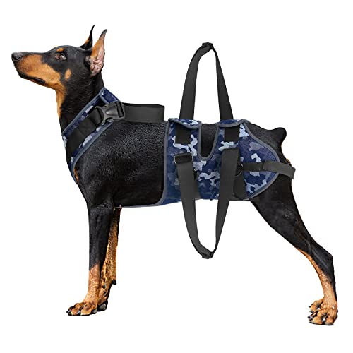 Blue Dream Island Gehhilfe Gürtel für ältere Hunde, postoperatives einteiliges Hunde-Lift-Unterstützungsgeschirr, Hilfsgurt, tragbare Schlinge für Hunde_XL von Blue Dream Island