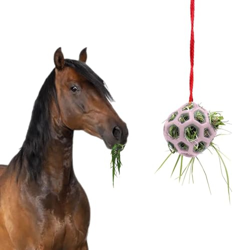 Blue Dream Island Heu-Futterball für Haustiere, zum Aufhängen, interaktives Futterspielzeug für Meerschweinchen, Kaninchen, Schildkröte, Ziege, Pony, Rosa von Blue Dream Island