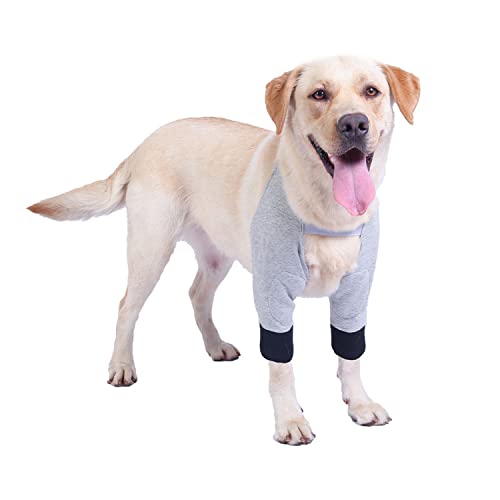 Blue Dream Island Hunde-Chirurgie-Erholungsmanschette für die Vorderbeine, verhindert das Lecken von Wunden und Ellenbogen, Hunde-Genesungsanzug bei Verstauchung, Arthritis, Grau (M) von Blue Dream Island