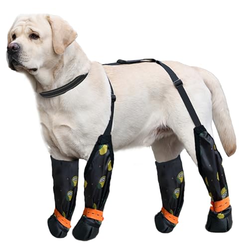 Blue Dream Island Hundebein-Schuhe, reflektierend, verstellbar, Hosenträger mit D-Ring, Hundepfotenschutz, Outdoor, Spazierengehen, Laufen, Wandern, Stiefel für kleine, mittelgroße Hunde, Größe XXL Blue Dream Island Hundebein-Schuhe, reflektierend, verstellbar, Hosenträger mit D-Ring, Hundepfotenschutz, Outdoor, Spazierengehen, Laufen, Wandern, Stiefel für kleine, mittelgroße Hunde, Größe XXL von Blue Dream Island