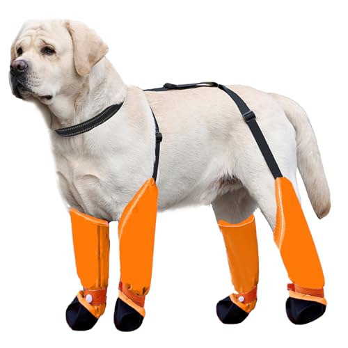 Blue Dream Island Hundebein-Schuhe, reflektierend, verstellbar, Hosenträger mit D-Ring, Hundepfotenschutz, Outdoor-Walking, Laufen, Wandern, Stiefel für kleine und mittelgroße Hunde, Größe XL (Orange) Blue Dream Island Hundebein-Schuhe, reflektierend, verstellbar, Hosenträger mit D-Ring, Hundepfotenschutz, Outdoor-Walking, Laufen, Wandern, Stiefel für kleine und mittelgroße Hunde, Größe XL (Orange) von Blue Dream Island