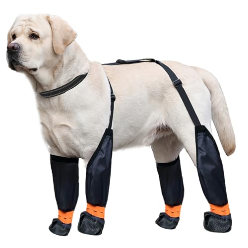 Blue Dream Island Hundebein-Schuhe, reflektierend, verstellbar, Hosenträger mit D-Ring, Hundepfotenschutz, Outdoor-Walking, Laufen, Wandern, Stiefel für kleine und mittelgroße Hunde, Größe XXL Blue Dream Island Hundebein-Schuhe, reflektierend, verstellbar, Hosenträger mit D-Ring, Hundepfotenschutz, Outdoor-Walking, Laufen, Wandern, Stiefel für kleine und mittelgroße Hunde, Größe XXL von Blue Dream Island