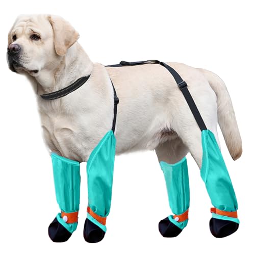 Blue Dream Island Hundebein-Schuhe, reflektierend, verstellbar, mit D-Ring, Hundepfotenschutz, Outdoor-Walking, Laufen, Wandern, Stiefel für kleine, mittelgroße Hunde, Größe XXL (mintgrün) von Blue Dream Island