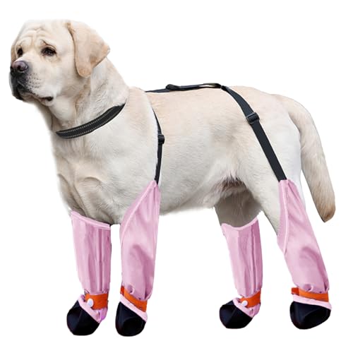 Blue Dream Island Hundebeinschuhe, schmutzabweisend, reflektierend, verstellbar, mit D-Ring, Hundepfotenschutz, für Spaziergänge, Laufen, Wandern, für kleine und mittelgroße Hunde, Größe XS (Rosa) Blue Dream Island Hundebeinschuhe, schmutzabweisend, reflektierend, verstellbar, mit D-Ring, Hundepfotenschutz, für Spaziergänge, Laufen, Wandern, für kleine und mittelgroße Hunde, Größe XS (Rosa) von Blue Dream Island