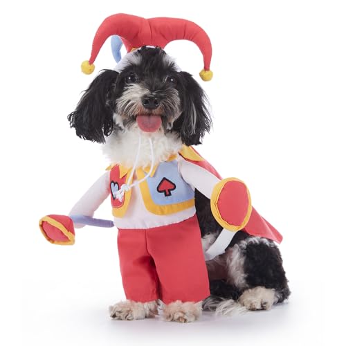 Cosplay-Kostüm für kleine Hunde, Halloween, Weihnachten, Verkleidung, Haustier-Party, lustige Verkleidung, Requisiten für Katze, Welpen, kleine Hunde, Größe XL, Rot mit Clown von Blue Dream Island