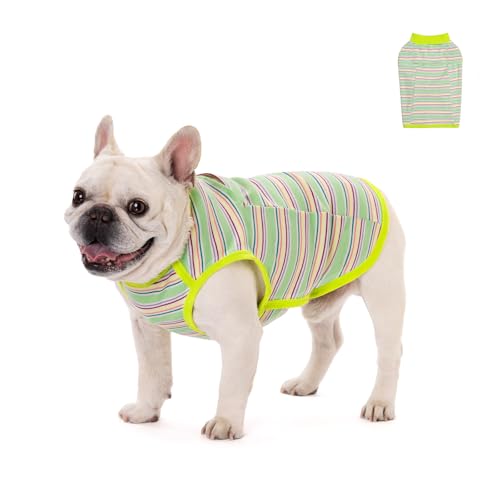 Gestreifte Hundeweste, elastisch, dicke Hundekleidung, französische Bulldogge, T-Shirt, Jacke, Mops, ärmelloser Pullover für Katzen, kleine und mittelgroße Hunde, Größe S (Grün gestreift) von Blue Dream Island