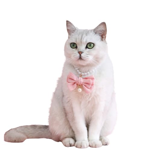 Halsband für Haustiere, Samtschleife, künstliche Perlen, verstellbar, Katzen-/Hundeschmuck, Hochzeit, Geburtstagsgeschenk, Verkleidungshalsband für Katzen, Welpen, kleine Hunde, Größe S (Hellrosa) Halsband für Haustiere, Samtschleife, künstliche Perlen, verstellbar, Katzen-/Hundeschmuck, Hochzeit, Geburtstagsgeschenk, Verkleidungshalsband für Katzen, Welpen, kleine Hunde, Größe S (Hellrosa) von Blue Dream Island