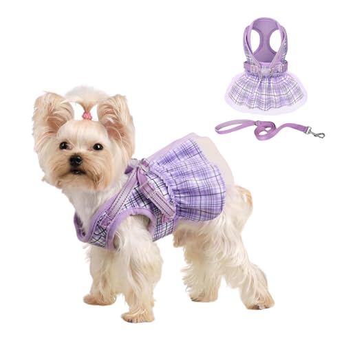 Haustiergeschirr-Set, verstellbar, atmungsaktiv, Netzstoff, für Hunde, Spitze, kariert, Prinzessinnenkleid, tägliches Spazierengehen, Tutu-Geschirr für Katzen, Welpen, kleine, mittelgroße Hunde, Größe von Blue Dream Island