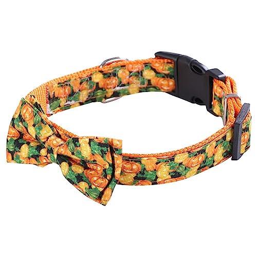 Haustierhalsband, Katzenhalsband mit Fliege, Halloween-Party, Halsdekoration, verstellbares Hundehalsband für Welpen, kleine und mittelgroße Hunde, Größe M, Kürbis Haustierhalsband, Katzenhalsband mit Fliege, Halloween-Party, Halsdekoration, verstellbares Hundehalsband für Welpen, kleine und mittelgroße Hunde, Größe M, Kürbis von Blue Dream Island