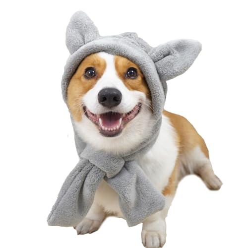 Haustiermütze, leise Ohrenabdeckung, Winter, winddicht, warm, Stirnband, Hundeschal, Ohrenschützer für Katzen, kleine, mittelgroße und große Hunde, Größe XL, Grau Haustiermütze, leise Ohrenabdeckung, Winter, winddicht, warm, Stirnband, Hundeschal, Ohrenschützer für Katzen, kleine, mittelgroße und große Hunde, Größe XL, Grau von Blue Dream Island
