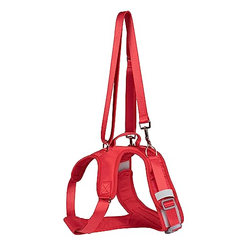 Hunde-Stützgurt für die Vorderbeine, für Haustiere, tragbar, für Genesung, Spazierengehen, Training, Hebegeschirr für ältere Menschen, verletzte, behinderte Hunde, M (rote Vorderbeine) von Blue Dream Island