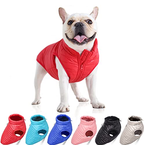 Hunde-Wintermantel mit D-Ring, superleicht, für kleine Hunde, warmer Mantel, Reißverschluss, wasserdicht, für Haustiere, Katzen, warme Jacke, Bekleidung für kleine, mittelgroße Hunde, Rot (XL) von Blue Dream Island