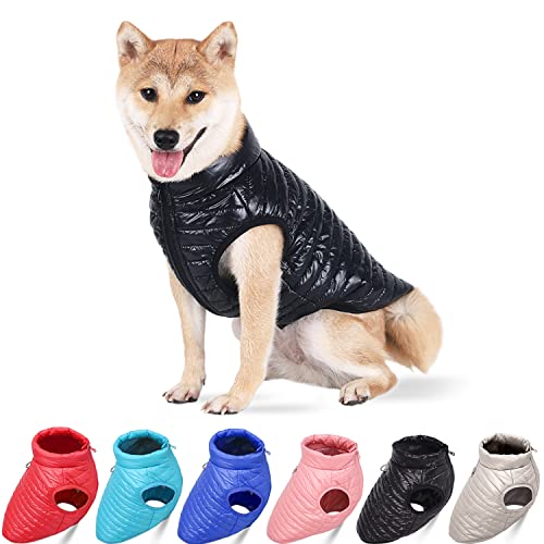 Hunde-Wintermantel mit D-Ring, superleicht, für kleine Hunde, warmer Mantel, Reißverschluss, wasserdicht, für Haustiere, Katzen, warme Jacke, Bekleidung für kleine, mittelgroße Hunde, Schwarz (XL) Hunde-Wintermantel mit D-Ring, superleicht, für kleine Hunde, warmer Mantel, Reißverschluss, wasserdicht, für Haustiere, Katzen, warme Jacke, Bekleidung für kleine, mittelgroße Hunde, Schwarz (XL) von Blue Dream Island