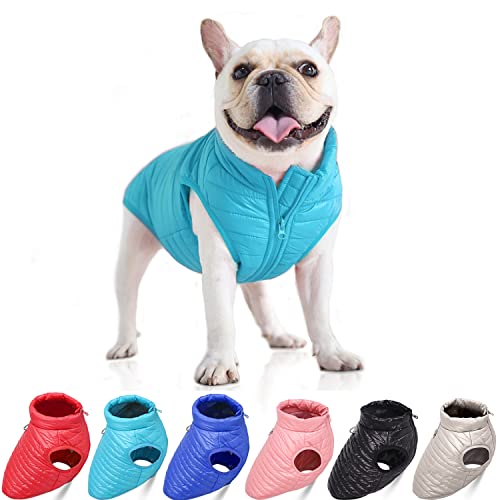 Hunde-Wintermantel mit D-Ring, superleicht, für kleine Hunde, warmer Mantel, Reißverschluss, wasserdicht, für Haustiere, Katzen, warme Jacke, Bekleidung für kleine, mittelgroße Hunde, Seeblau (XL) von Blue Dream Island