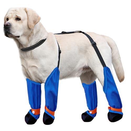 Hundebein-Schuhe, reflektierend, verstellbar, Hosenträger mit D-Ring, Hundepfotenschutz, Outdoor-Walking, Laufen, Wandern, Stiefel für kleine und mittelgroße Hunde, Himmelblau Hundebein-Schuhe, reflektierend, verstellbar, Hosenträger mit D-Ring, Hundepfotenschutz, Outdoor-Walking, Laufen, Wandern, Stiefel für kleine und mittelgroße Hunde, Himmelblau von Blue Dream Island
