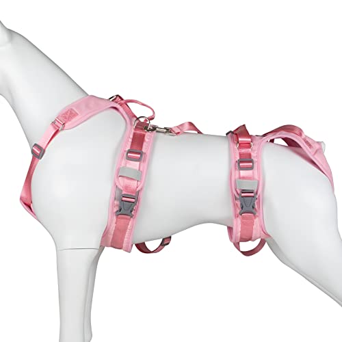 Hundebein-Stützgurt, tragbar, für Genesung, Spazierengehen, Training, Hebegeschirr für ältere Menschen, verletzte, behinderte Hunde, Größe M (Rosa) von Blue Dream Island
