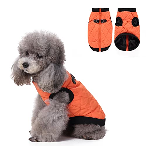 Hundegeschirr, Kleidung, warme Hundejacke mit Reißverschluss, für kaltes Wetter, winddichter Mantel, Winter-Baumwollmäntel für kleine, mittelgroße Hunde, Größe L (Orange) von Blue Dream Island