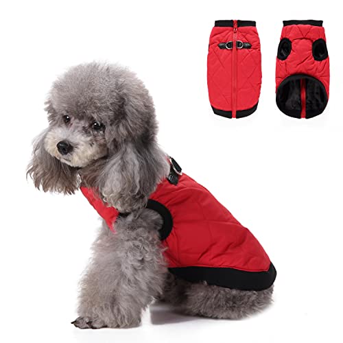Hundegeschirr, Kleidung, warme Hundejacke mit Reißverschluss, für kaltes Wetter, winddichter Mantel, Winter-Baumwollmäntel für kleine, mittelgroße Hunde, XL (rot) von Blue Dream Island