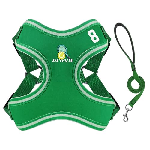 Hundegeschirr, kein Ziehen, verstellbar, sportlicher Stil, mit Leine, D-Ring für Welpen, kleine Hunde, Größe M, Grün von Blue Dream Island