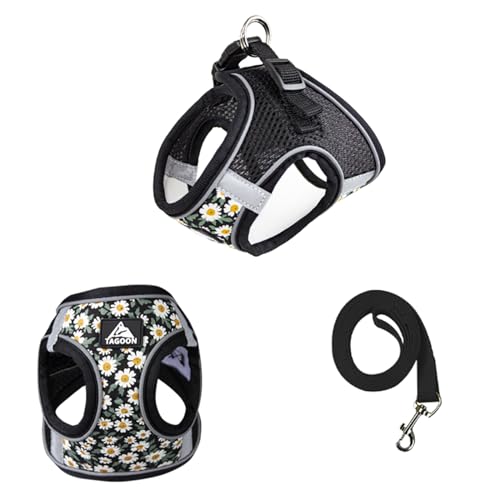 Hundegeschirr für kleine Hunde, Gänseblümchen-Blumenmuster, Haustiergeschirr, Weste, Hund, atmungsaktives Netzgewebe, verstellbar, D-Ring, reflektierend, Laufgeschirr für Katzen, Welpen, kleine, Hundegeschirr für kleine Hunde, Gänseblümchen-Blumenmuster, Haustiergeschirr, Weste, Hund, atmungsaktives Netzgewebe, verstellbar, D-Ring, reflektierend, Laufgeschirr für Katzen, Welpen, kleine, von Blue Dream Island