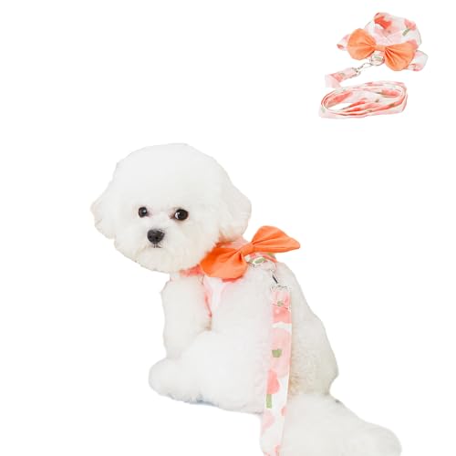 Hundegeschirr für kleine Hunde, Weste mit Leine, Schleife, Leine, Sommerblumendruck, Tutu-Weste, Katzen-Welpen, Hunde-Outfits für Spaziergänge im Freien, Größe M, Rosa Hundegeschirr für kleine Hunde, Weste mit Leine, Schleife, Leine, Sommerblumendruck, Tutu-Weste, Katzen-Welpen, Hunde-Outfits für Spaziergänge im Freien, Größe M, Rosa von Blue Dream Island
