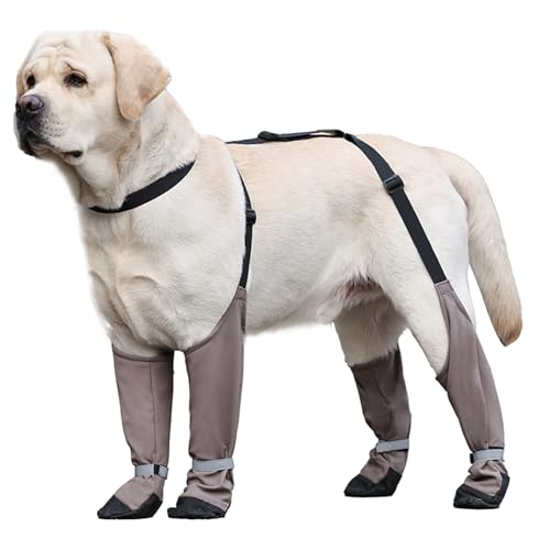Hundeschuhe, wasserdicht, schmutzabweisend, rutschfeste Hosenträger für Hunde, warme Stiefel, Hundepfotenwunde verhindern Lecken, Schutz, Abdeckung, Outdoor, Spazierengehen, Laufen, Wandern, Stiefel Hundeschuhe, wasserdicht, schmutzabweisend, rutschfeste Hosenträger für Hunde, warme Stiefel, Hundepfotenwunde verhindern Lecken, Schutz, Abdeckung, Outdoor, Spazierengehen, Laufen, Wandern, Stiefel von Blue Dream Island
