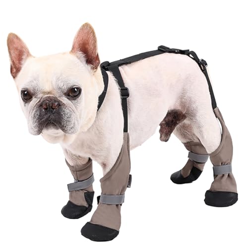 Hundeschuhe, wasserdicht, schmutzabweisend, rutschfeste Hosenträger für Hunde, warme Stiefel, Hundepfotenwunde verhindern Lecken, Schutz, Abdeckung, Outdoor, Spazierengehen, Laufen, Wandern, Stiefel Hundeschuhe, wasserdicht, schmutzabweisend, rutschfeste Hosenträger für Hunde, warme Stiefel, Hundepfotenwunde verhindern Lecken, Schutz, Abdeckung, Outdoor, Spazierengehen, Laufen, Wandern, Stiefel von Blue Dream Island