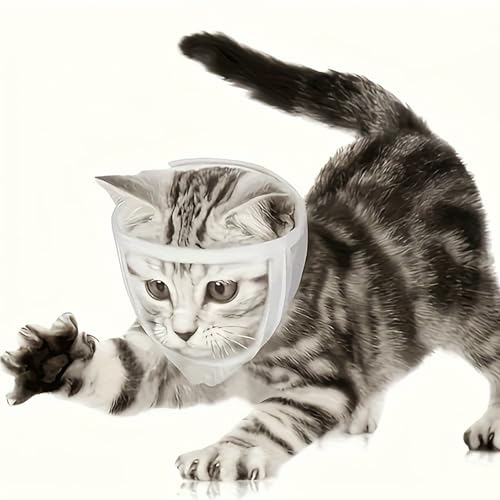 Blue Dream Island Katzenpflegemaulkorb mit transparenter Maske, Anti-Bissschutz, atmungsaktiv, mit Fesselschutz gegen Beißen, Kauen, Lecken von Wunden Blue Dream Island Katzenpflegemaulkorb mit transparenter Maske, Anti-Bissschutz, atmungsaktiv, mit Fesselschutz gegen Beißen, Kauen, Lecken von Wunden von Blue Dream Island