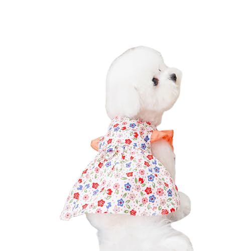 Kleid für kleine Hunde mit D-Ring, Sommer-Blumen-Tutu, Prinzessinnenkleid, niedliche Rüschenbesatzärmel, Haustierröcke für Katzen, Welpen, kleine Hunde, Größe XXL (Orange) von Blue Dream Island