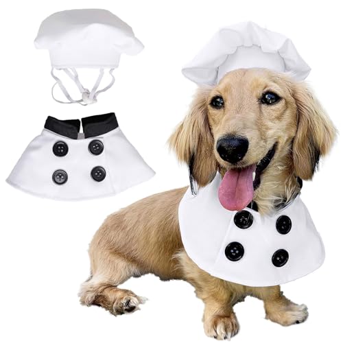 Kochmütze, Umhang-Set für Katzen und Hunde, niedliches Haustierkoch, Halloween, Cosplay, Kochkostüm, Veranda, Ente, Weiß, Größe L Kochmütze, Umhang-Set für Katzen und Hunde, niedliches Haustierkoch, Halloween, Cosplay, Kochkostüm, Veranda, Ente, Weiß, Größe L von Blue Dream Island