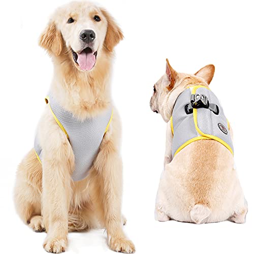 Kühlgeschirr für Hunde, Sommer, verstellbar, Netzstoff, kühlende Weste, Jacke, Outdoor, sonnenfest, Haustiermäntel für kleine, mittelgroße und große Hunde_3XL Kühlgeschirr für Hunde, Sommer, verstellbar, Netzstoff, kühlende Weste, Jacke, Outdoor, sonnenfest, Haustiermäntel für kleine, mittelgroße und große Hunde_3XL von Blue Dream Island