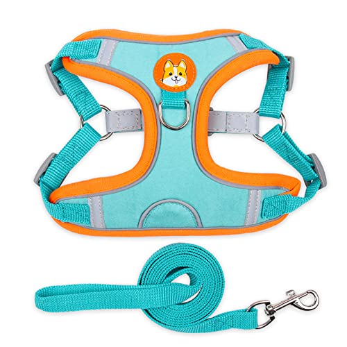 No Pull Dog Harness Pet Reflective Soft Dog Vest Harness and Leash Set Adjustable Puppy Walking Vest for Small Dogs (L:Blue) von Blue Dream Island