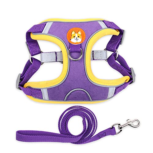 No Pull Dog Harness Pet Reflective Soft Dog Vest Harness and Leash Set Adjustable Puppy Walking Vest for Small Dogs (M:Purple) von Blue Dream Island
