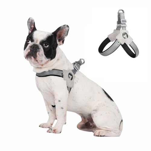 No Pull Hundegeschirr, reflektierendes Hundegeschirr, atmungsaktives Netzgewebe, gepolstert, Y-Geschirr für kleine, mittelgroße Hunde, Größe M (Schwarz) von Blue Dream Island