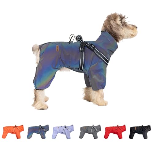 Regenmantel für kleine Hunde, verstellbar, 4 Beine, Regenjacke, wasserdicht, winddicht, reflektierend, für kleine und mittelgroße Hunde, Größe L, Lasergrau Regenmantel für kleine Hunde, verstellbar, 4 Beine, Regenjacke, wasserdicht, winddicht, reflektierend, für kleine und mittelgroße Hunde, Größe L, Lasergrau von Blue Dream Island