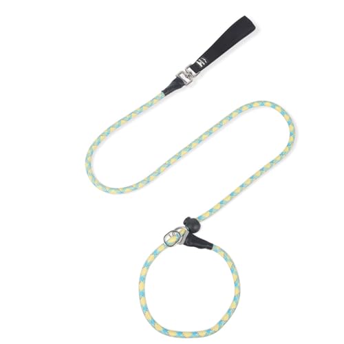 Retrieverleine, 150 cm, für Hundetraining/Spazierengehen, explosives Verhalten, Korrekturleine, Halsband, Seil, kein Ziehen, verstellbar, starkes Seil, reflektierend, für kleine, mittelgroße und große Retrieverleine, 150 cm, für Hundetraining/Spazierengehen, explosives Verhalten, Korrekturleine, Halsband, Seil, kein Ziehen, verstellbar, starkes Seil, reflektierend, für kleine, mittelgroße und große von Blue Dream Island