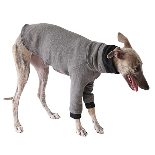 Schlanker Hunde-Wintermantel, italienischer Windhund, Stretch-Pullover, Pyjama, Whippet, Frühling, Herbst, T-Shirt, Pullover, Kleidung für den täglichen Gebrauch, Größe XS (Grau) von Blue Dream Island