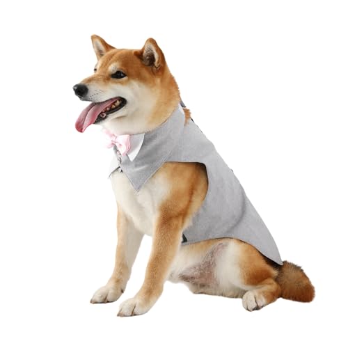 Smokinganzug für Hunde, Hochzeit, Party, Leinen-Outfit mit abnehmbarer Fliege, Halstuch, formelles Hemd, Frack, Weste, Geburtstagskostüm, Größe S (Grau) von Blue Dream Island