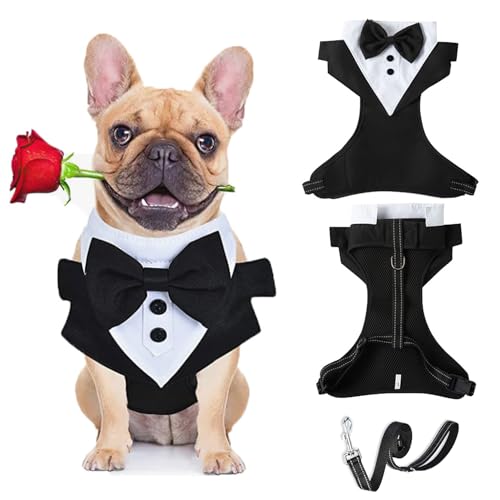 Smokinggeschirr für Hunde mit Leine, Hochzeitshemd, formelles Smoking, Weste, Geschirr, Schleife, verstellbares Frack-Kostüm, Geschirr für Welpen, kleine, mittelgroße Hunde, Größe S Smokinggeschirr für Hunde mit Leine, Hochzeitshemd, formelles Smoking, Weste, Geschirr, Schleife, verstellbares Frack-Kostüm, Geschirr für Welpen, kleine, mittelgroße Hunde, Größe S von Blue Dream Island