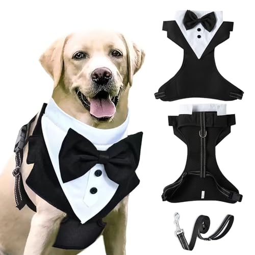 Smokinggeschirr für Hunde mit Leine, Hochzeitshemd, formelles Smoking, Weste, Geschirr, Schleife, verstellbares Haustier-Frack-Kostüm-Geschirr für Welpen, kleine, mittelgroße Hunde, Größe L Smokinggeschirr für Hunde mit Leine, Hochzeitshemd, formelles Smoking, Weste, Geschirr, Schleife, verstellbares Haustier-Frack-Kostüm-Geschirr für Welpen, kleine, mittelgroße Hunde, Größe L von Blue Dream Island