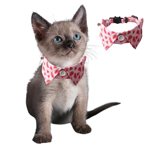 Süßes Hundehalsband für kleine Hunde mit Glöckchen-Anhänger, verstellbar, Schnellverschluss, Haustier-Shirt-Halsband mit D-Ring für Katzen, Welpen, kleine Hunde, Wassermelone Süßes Hundehalsband für kleine Hunde mit Glöckchen-Anhänger, verstellbar, Schnellverschluss, Haustier-Shirt-Halsband mit D-Ring für Katzen, Welpen, kleine Hunde, Wassermelone von Blue Dream Island