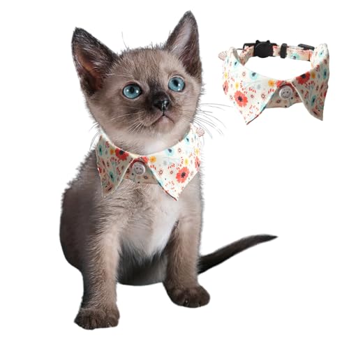 Süßes Hundehalsband für kleine Hunde mit Glöckchen-Anhänger, verstellbar, Schnellverschluss, Haustier-Shirt-Halsband mit D-Ring für Katzen, Welpen, kleine Hunde, weiße Blume Süßes Hundehalsband für kleine Hunde mit Glöckchen-Anhänger, verstellbar, Schnellverschluss, Haustier-Shirt-Halsband mit D-Ring für Katzen, Welpen, kleine Hunde, weiße Blume von Blue Dream Island